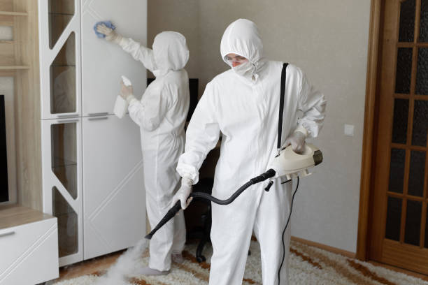 Best Attic Mold Removal  in Valley City, ND