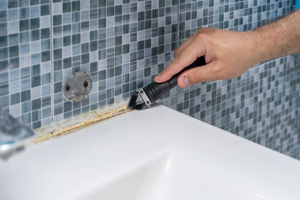 Best Toxic Mold Removal  in Valley City, ND